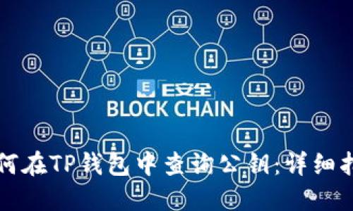 如何在TP钱包中查询公钥：详细指南