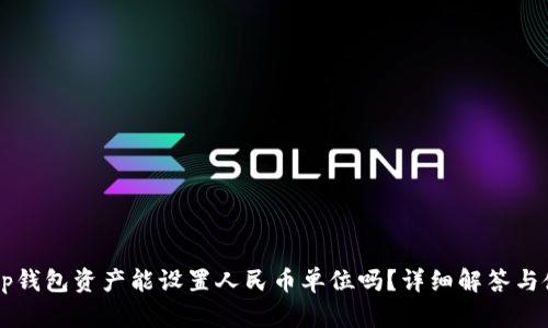 ### tp钱包资产能设置人民币单位吗？详细解答与使用指南