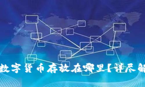 TP钱包购买的数字货币存放在哪里？详尽解答与使用指南