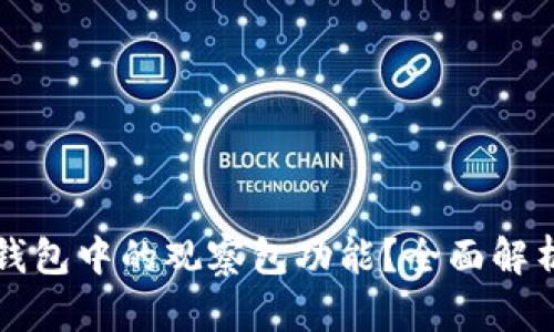 如何使用TP钱包中的观察包功能？全面解析与使用技巧