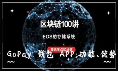 : 全面解析 GoPay 钱包 APP：功能、优势与使用指南