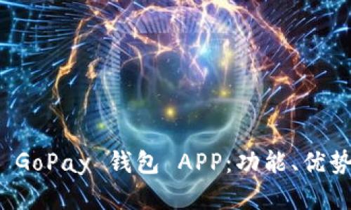 : 全面解析 GoPay 钱包 APP：功能、优势与使用指南